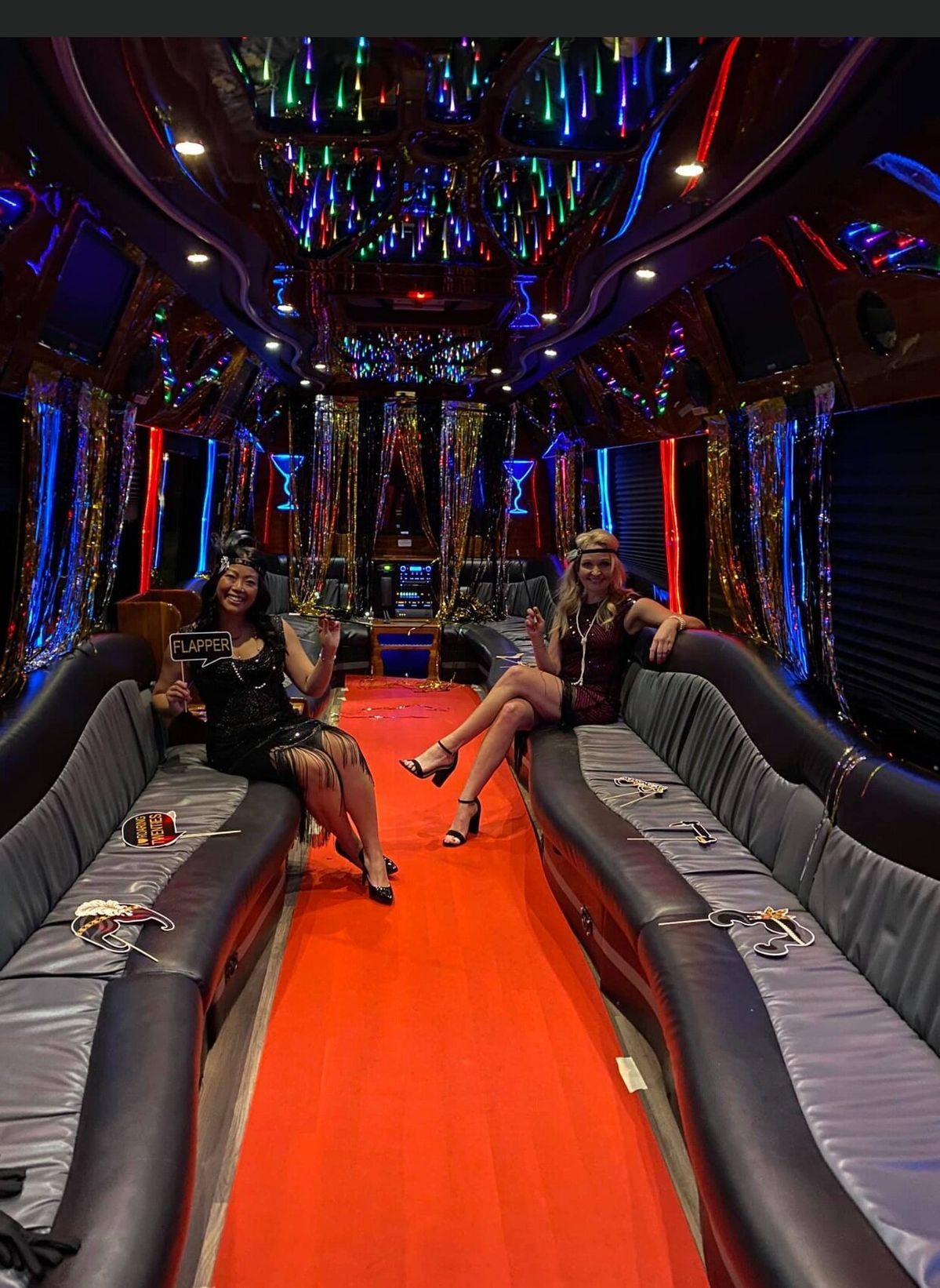 Luxury Sprinter Interior