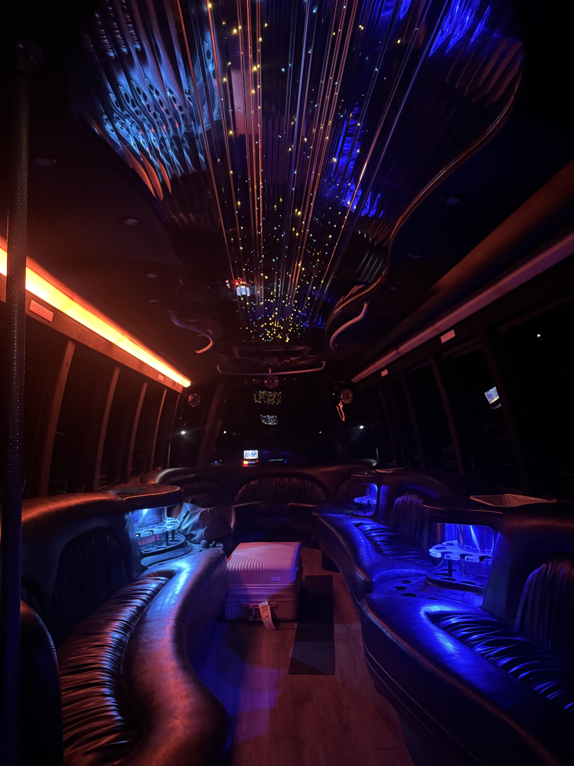la party bus rentals